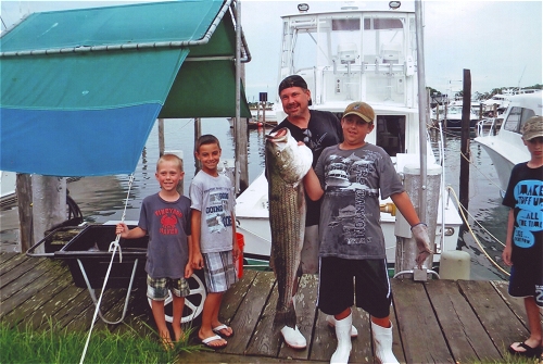 Stripedbass