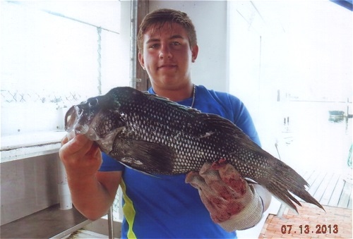 Seabass